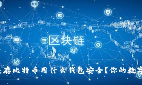专家独家揭秘：存比特币用什么钱包安全？你的数字资产护航秘籍