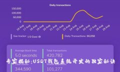 专家揭秘：USDT钱包系统开发的独家秘诀