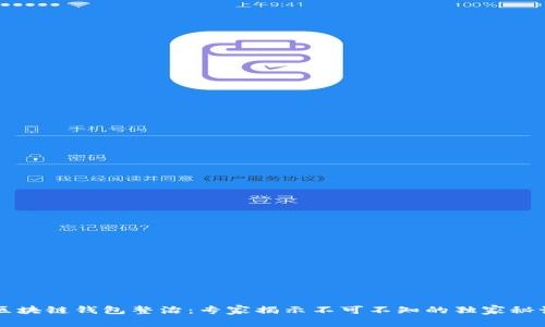 区块链钱包整治：专家揭示不可不知的独家秘诀