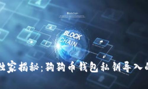 专家独家揭秘:狗狗币钱包私钥导入的秘诀