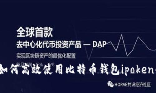 专家揭秘：如何高效使用比特币钱包ipoken的独家秘诀