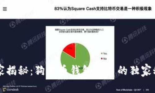 专家揭秘：狗狗币钱包交易的独家秘诀
