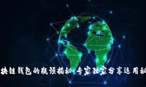 区块链钱包的瓶颈揭秘:专家独家分享运用秘诀