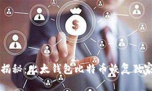 专家揭秘：比太钱包比特币恢复独家秘诀
