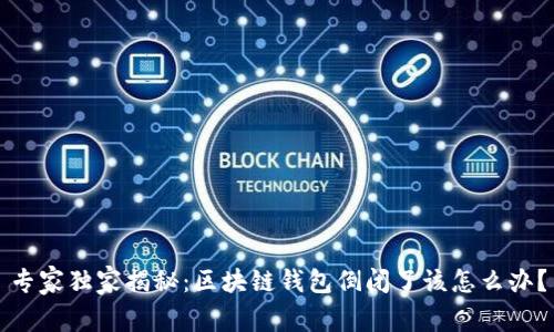 专家独家揭秘:区块链钱包倒闭了该怎么办?