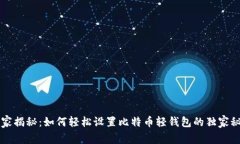 专家揭秘：如何轻松设置比特币轻钱包的独家秘