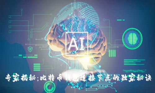 专家揭秘：比特币钱包连接节点的独家秘诀