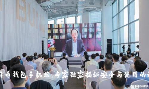 比特币钱包手机端：专家独家揭秘安全与使用的秘诀