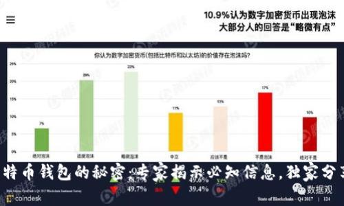 比特币钱包的秘密：专家揭示必知信息，独家分享！