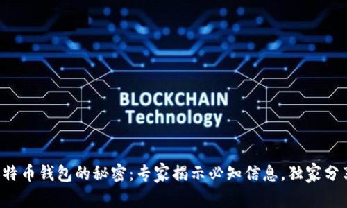 比特币钱包的秘密：专家揭示必知信息，独家分享！