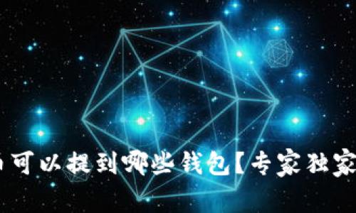 XRP币可以提到哪些钱包?专家独家揭秘!