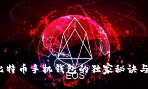 专家揭秘:比特币手机钱包的独家秘诀与安全性分析