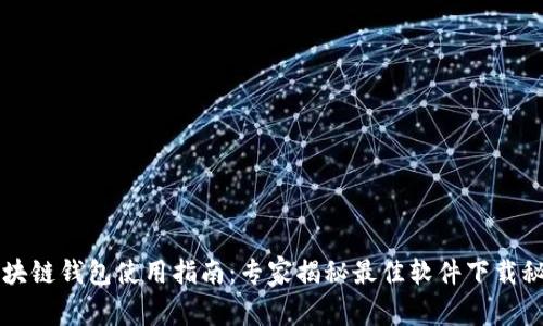 区块链钱包使用指南：专家揭秘最佳软件下载秘诀