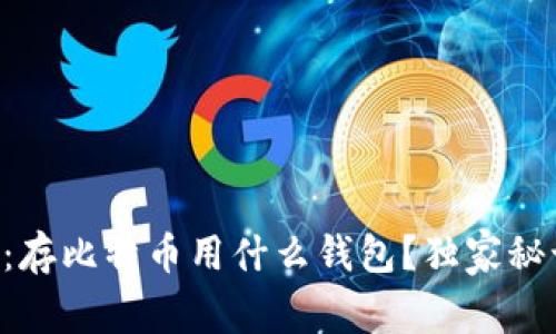 专家揭秘：存比特币用什么钱包？独家秘诀大公开！