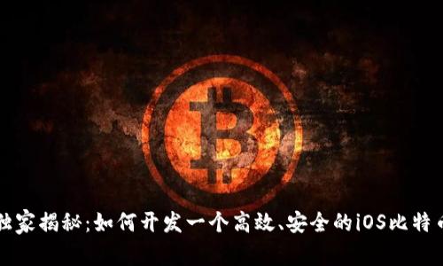 专家独家揭秘:如何开发一个高效、安全的iOS比特币钱包