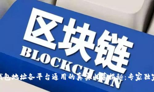 USDT钱包地址各平台通用的真实内幕揭秘:专家独家秘笈!