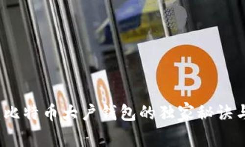 专家揭秘:比特币大户钱包的独家秘诀与投资策略