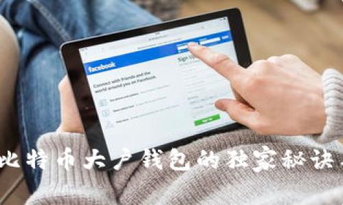 专家揭秘:比特币大户钱包的独家秘诀与投资策略