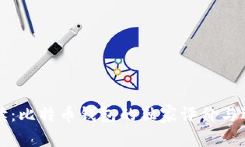 专家解读:比特币钱包的独家评价与选择秘诀
