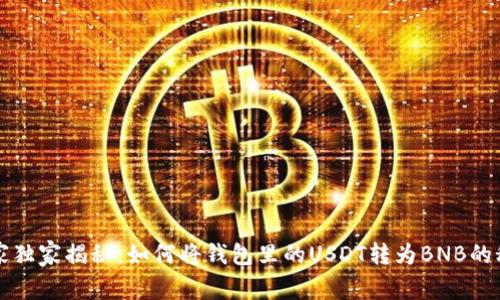 专家独家揭秘:如何将钱包里的USDT转为BNB的秘诀