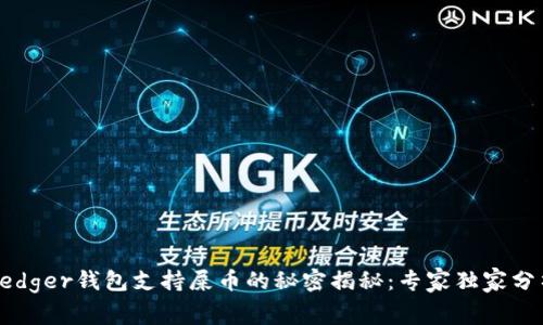 Ledger钱包支持屎币的秘密揭秘：专家独家分析