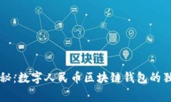专家揭秘:数字人民币区块链钱包的独家秘诀