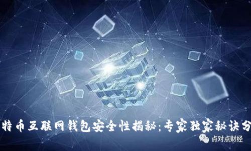 比特币互联网钱包安全性揭秘：专家独家秘诀分享