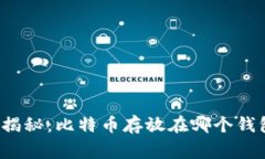 “专家独家揭秘：比特币存放在哪个钱包最安全