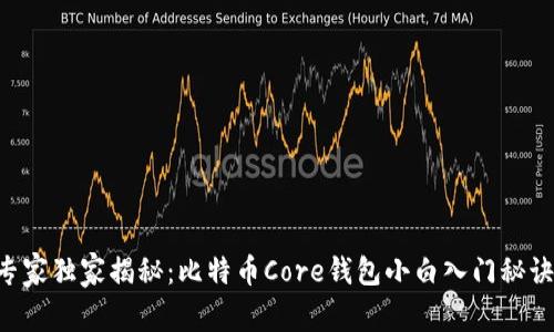 专家独家揭秘:比特币Core钱包小白入门秘诀!