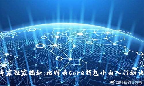 专家独家揭秘:比特币Core钱包小白入门秘诀!