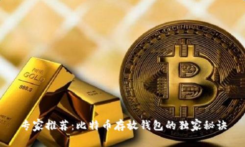 专家推荐:比特币存放钱包的独家秘诀