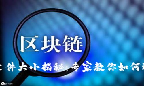 比特币钱包文件大小揭秘:专家教你如何选择最优钱包