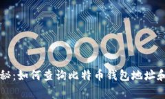 专家独家揭秘：如何查询比特币钱包地址和密码