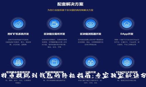 比特币提现到钱包的终极指南：专家独家秘诀分享
