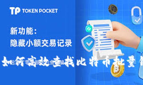 专家独家揭秘:如何高效查找比特币批量钱包余额的秘诀