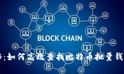 专家独家揭秘:如何高效查找比特币批量钱包余额的秘诀