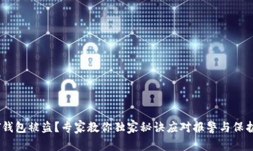 USDT钱包被盗？专家教你独家秘诀应对报警与保护资产