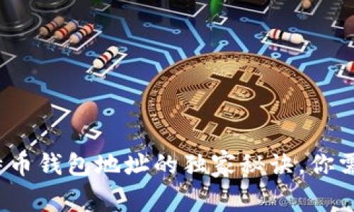 专家揭秘:比特币钱包地址的独家秘诀,你需要知道的一切