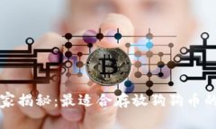 狗狗币专家独家揭秘:最适合存放狗狗币的分红