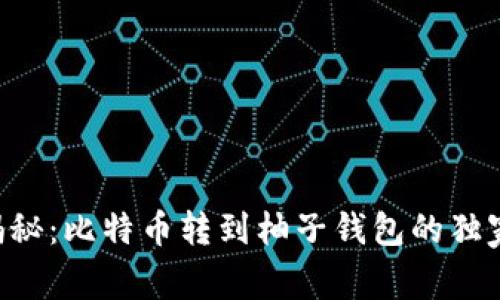 专家揭秘:比特币转到柚子钱包的独家秘诀!