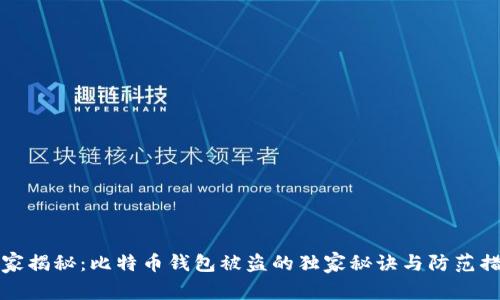 专家揭秘：比特币钱包被盗的独家秘诀与防范措施