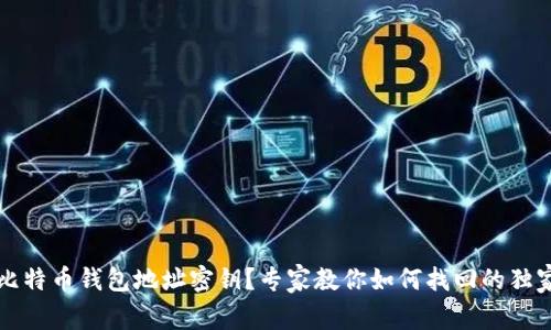 忘记比特币钱包地址密钥？专家教你如何找回的独家秘诀