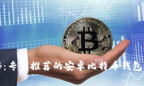 独家揭秘：专家推荐的安卓比特币钱包使用秘诀