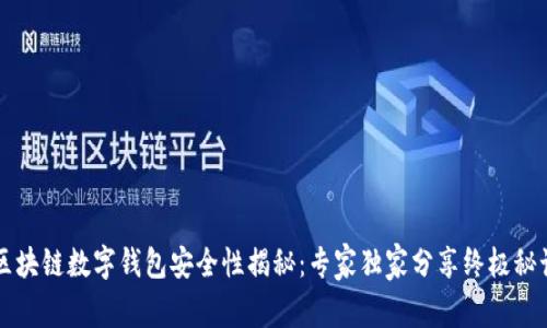区块链数字钱包安全性揭秘:专家独家分享终极秘诀