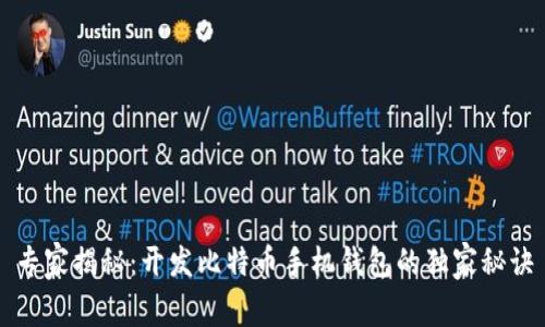 专家揭秘:开发比特币手机钱包的独家秘诀