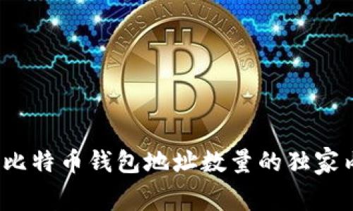 专家揭秘:比特币钱包地址数量的独家内幕与秘诀