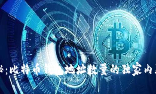 专家揭秘:比特币钱包地址数量的独家内幕与秘诀