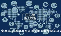 专家揭秘：以太坊钱包无法下载的独家解决秘诀