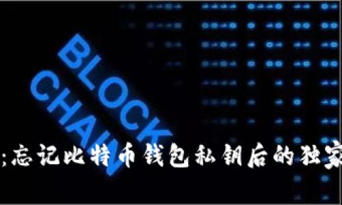专家揭秘:忘记比特币钱包私钥后的独家恢复秘诀