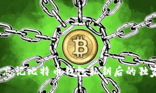 专家揭秘:忘记比特币钱包私钥后的独家恢复秘诀